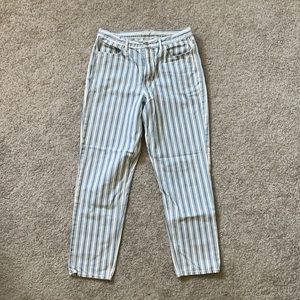 Size 12 Long American Eagle Mom Jeans